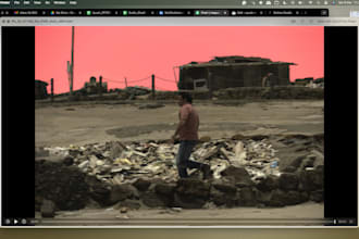 do vfx for your business