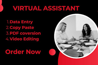 do data entry and convert file word to PDF and PDF to word