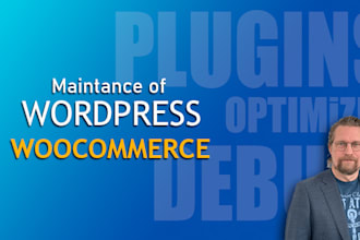 help you with wordpress maintenance, upgrades and troubleshooting