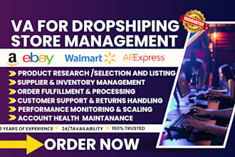 manage your amazon, ebay and walmart dropshiping account as expert VA