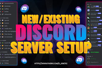 setup new or existing discord server professionally