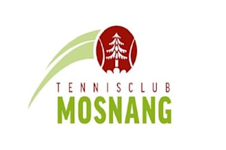 design professional superior tennis club logo