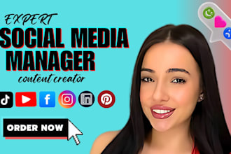 be your social media manager, content creation, instagram and linkedin marketing