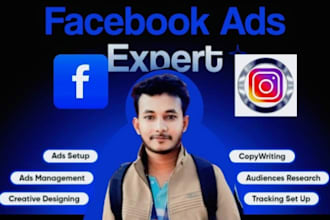 create and setup targeted facebook and instagram  ads for sales