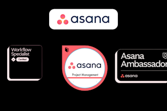 setup your asana workflow project management task management virtual assistant