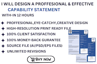 design a professional and effective capability statement within 12 hours