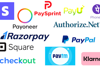 integrate payu paytm alipay wechat pay braintree skrill payoneer square razorpay