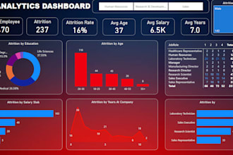 design excel dashboard, report in excel, charts, pivot table, slicer, dynamic