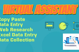 do excel data entry, copy paste, data collection, and web research