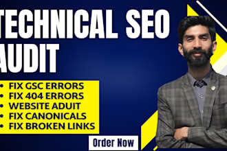 perform a technical SEO audit and fix google search console indexing issues