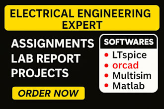 electrical and electronics engineering assigned, tasks and projects