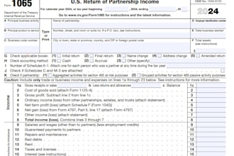 prepare US federal tax returns 1065, 1120, its, 1099, 1042