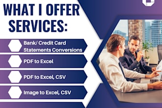 manually transfer financial and bank statements from PDF to xls