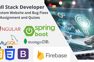build custom java, spring boot, and angular, react apps
