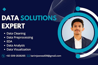 do data cleaning, preprocessing, analysis, and visualization