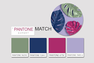convert any cmyk, rgb, or hex color to a perfect pantone match