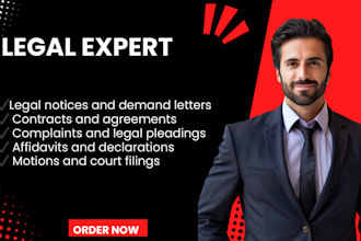 provide expert legal advice on criminal and civil cases and legal documents
