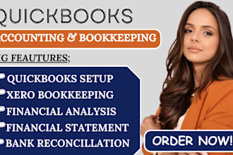 ecommerce bookkeeping for amazon, ebay,  quickbooks online, xero, payroll as cpa