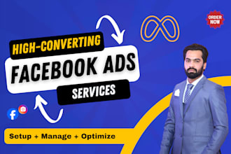 setup and manage facebook ads campaign, instagram ads, fb meta ads marketing