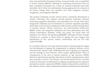 write your article, essay, etc in english or spanish