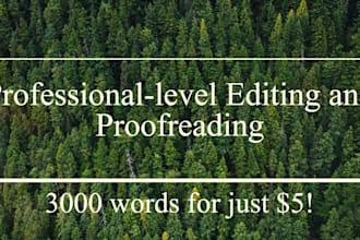 professionally line edit, copyedit, and proofread your writing