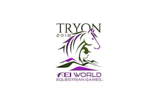design world equestrian gamest logo