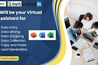 be your VA for data entry, enrichment,cleansing,scraping,mining,lead generation