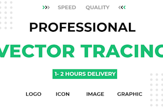do vector tracing service or convert to vector quickly