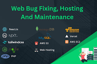 debug, repair and enhance your website