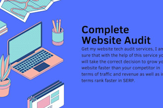 do complete website audit