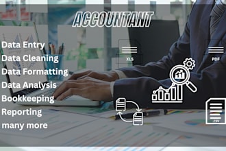 be your virtual accountant for bookkeeping, reconciliation and excel data entry
