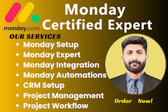 be your monday expert, click up , asana ,notion expert