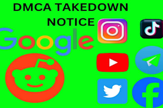 remove content on reddit,google,instagram,onlyfans,fb,tiktok,youtube,x by dmca