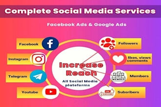 grow instagram increase followers facebook ads boost shopify sales and traffic