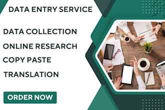 do data entry data collection online research copy paste and translation