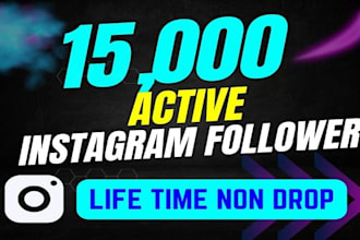do fast instagram organic growth and increase followers