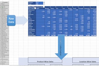 create professional pivot table reports for data analysis and insights