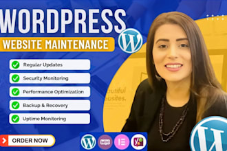 provide professional ongoing wordpress website maintenance, wordpress managment
