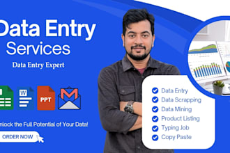 be your virtual assistant for data entry, data mining,  data scrapping