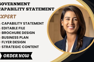 design an effective government capability statement and capability statement