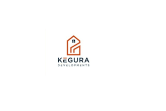 create awesome and gorgeous home logo or icon design