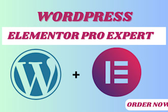 design redesign clone wordpress website elementor pro expert