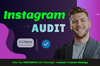 perform a instagram audit for you