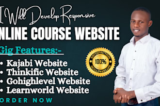 setup design online course website on learnworld thinkific kajabi ghl, wix SEO