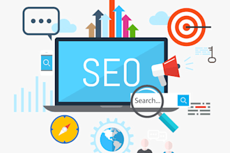 expert SEO setup and troubleshooting
