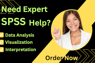 provide spss data analysis for researchers and businesses