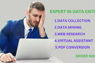provide fastest excel data entry collection