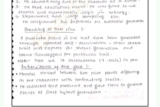 help you to convert digital documents into handwritten formats