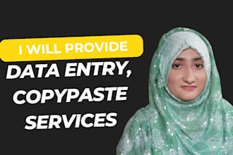 data entry excel, copy paste and web search