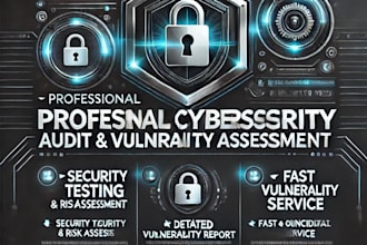 perform a professional cybersecurity audit and vulnerability assessment